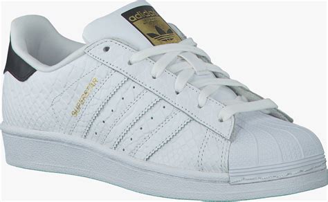 adidas superstar wit dames aanbieding